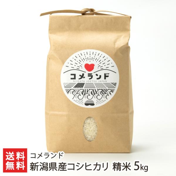 【令和5年度米】新潟県産コシヒカリ 精米5kg/ コメランド/送料無料