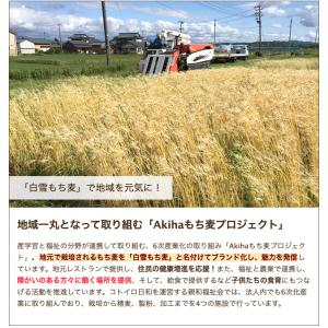 白雪もち麦 3パック入(1パックあたり320g...の詳細画像5