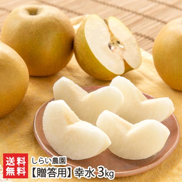 【贈答用】幸水 3kg（5〜10玉）/しらい農園/送料無料
