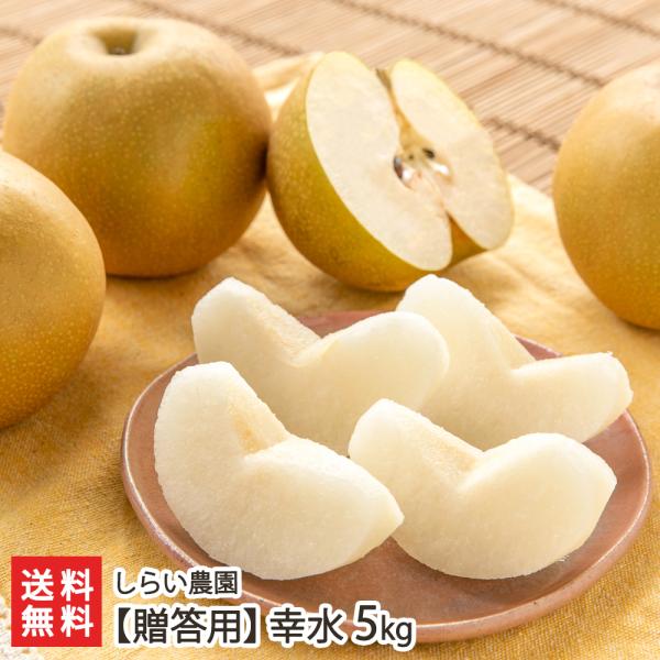 【贈答用】幸水 5kg（8〜18玉）/しらい農園/送料無料