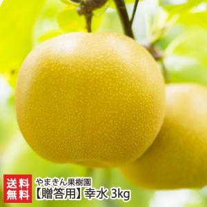 【贈答用】幸水 3kg（5〜9玉）/やまきん果樹園/後払い決済不可/送料無料
