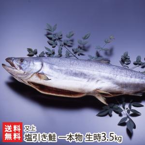 塩引き鮭 一本物 生時3.5kg※漁獲時の鮭の重さを表記しております/又上/送料無料｜niigata-shop