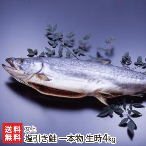 塩引き鮭 一本物 生時4kg※漁獲時の鮭の重さを表記しております/又上/送料無料｜niigata-shop