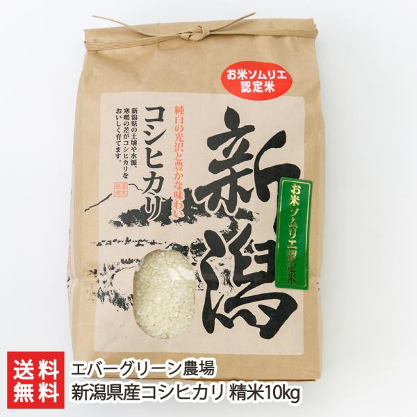 【令和5年度米】新潟県産コシヒカリ 精米10kg（5kg×2袋）/エバーグリーン農場/送料無料 父の...