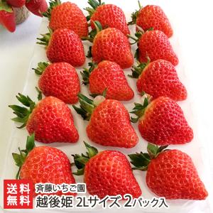 越後姫 2Lサイズ 2パック入り/斉藤いちご園/送料無料 父の日 お中元｜niigata-shop