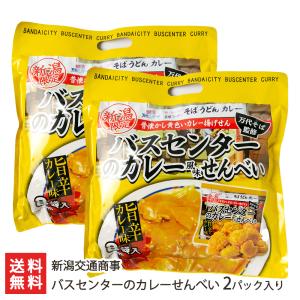 新潟B級グルメ 万代シティバスセンターのカレー（220g/1袋）レトルト