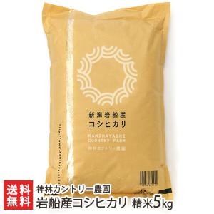 【令和5年度米】岩船産コシヒカリ 精米5kg（5kg×1袋）/神林カントリー農園/送料無料 父の日 お中元｜niigata-shop