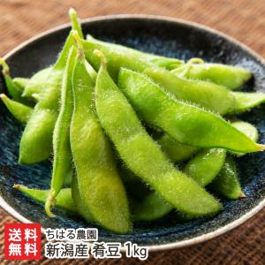 新潟産 肴豆 1kg（1kg×1袋）/枝豆 えだまめ/ちはる農園/送料無料 父の日 お中元｜niigata-shop