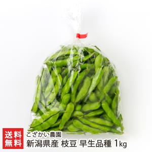 新潟県産 枝豆 早生品種 1kg/枝豆 えだまめ/こざかい農園/後払い決済不可/送料無料 父の日 お中元｜niigata-shop