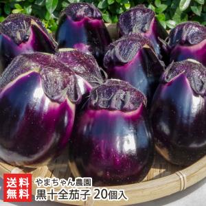 黒十全茄子 20個入り/なす ナス/やまちゃん農園/後払い決済不可/送料無料 父の日 お中元