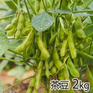 新潟県産 茶豆 2kg/げんぞう/送料無料｜niigata-shop