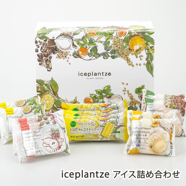 iceplantze アイス詰め合わせ/アイスクリーム 詰め合わせ/第一食品株式会社/後払い決済不可...