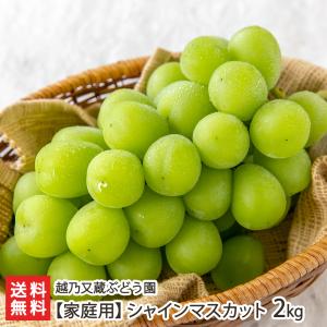 【家庭用】シャインマスカット 2kg（5〜6房）/越乃又蔵ぶどう園/送料無料 父の日 お中元｜niigata-shop