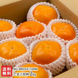 ごま八珍柿 2kg/BIG BRIDGE FARM/送料無料 父の日 お中元｜niigata-shop