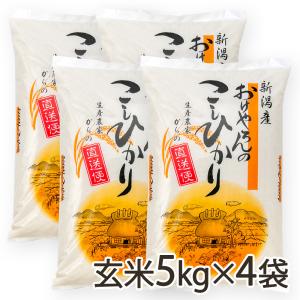 【令和5年度米】新潟県産コシヒカリ 玄米20kg（5kg×4袋）/おけやろん/送料無料