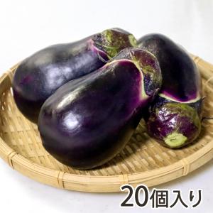 梨茄子（白十全茄子）20個入り/後払い決済不可/しみず農園/送料無料
