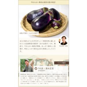 梨茄子(白十全茄子)20個入り/後払い決済不可...の詳細画像1