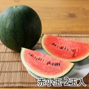 新潟県産スイカ 赤小玉 2玉入り/後払い決済不可/アサツマファーム/送料無料 父の日 お中元｜niigata-shop