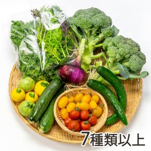 季節のおまかせ野菜セット 7種類以上/河合農場/送料無料 父の日 お中元｜niigata-shop
