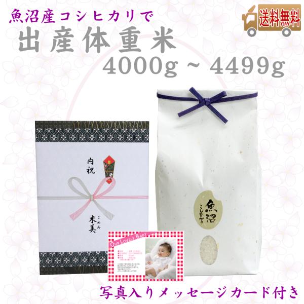 出産祝のお返し 魚沼産コシヒカリで出生体重米 4000gから4499g 写真入りメッセージカード付き...