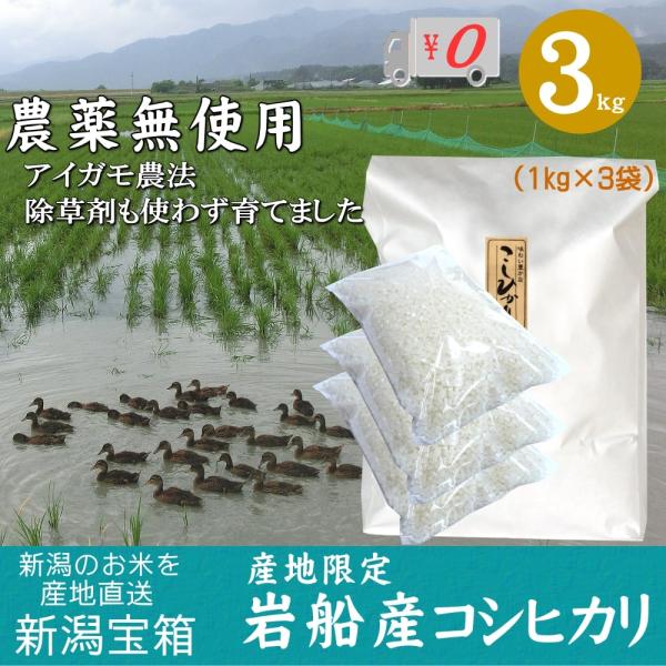 農薬無使用 米 新潟県岩船産コシヒカリ 1kg×3袋 3kg お米 白米 特A 送料無料