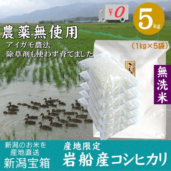 農薬無使用 米 新潟県岩船産コシヒカリ 無洗米 1kg×5袋 5kg お米 白米 特A 送料無料