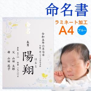 命名書 ピンク オーダー 命名紙 女の子用 A4 ラミネート 生年月日 出生
