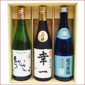 名入れ 日本酒 と 越乃寒梅 〆張鶴 ギフトセット 720ｍｌ×3本 大吟醸 + 灑 純米吟醸 純 ...