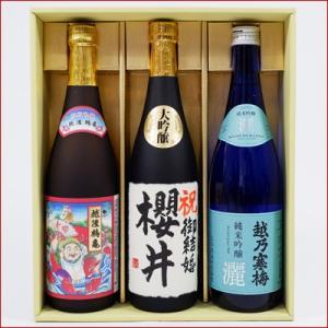 十四代 お中元 ギフト 贈り物 2026 酒 日本酒 お酒 14代 純米吟醸 双三