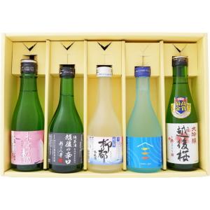 日本酒 新潟の地酒 飲み比べセット 300ml×5本 送料無料