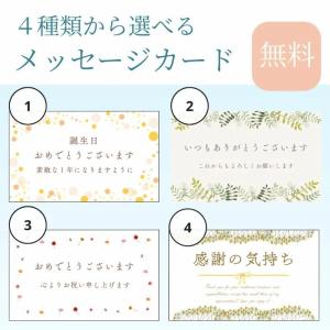 【送料無料・ギフト対応】獺祭 純米大吟醸50 ...の詳細画像2