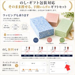 日本酒 獺祭 飲み比べ ギフトセット 獺祭 純...の詳細画像1