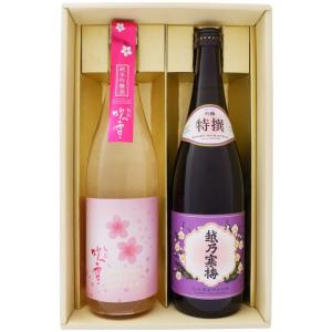 新政 日本酒 アッシュ 水墨 亀の尾 colors 2024 720ml 箱なし 新政酒造