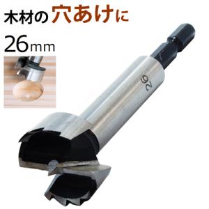 新潟精機 フォスナービット 30mm FB-30 シャンク径6.35mm 六角 [木工用