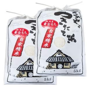 こがねもち 令和7年産 もち米10kg 特別栽培米新潟産こがねもち 5kg×2