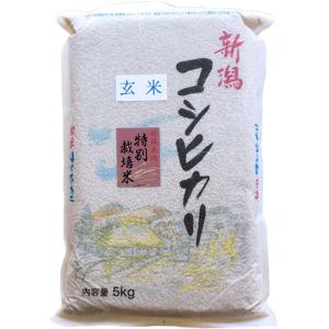 コシヒカリ 【玄米】 新米 お米 新潟県産 長岡地区限定 特別栽培米