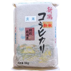 【玄米】 新米 お米 新潟県産 長岡地区限定 特別栽培米 コシヒカリ 5kg 令和7年産【本州送料無...