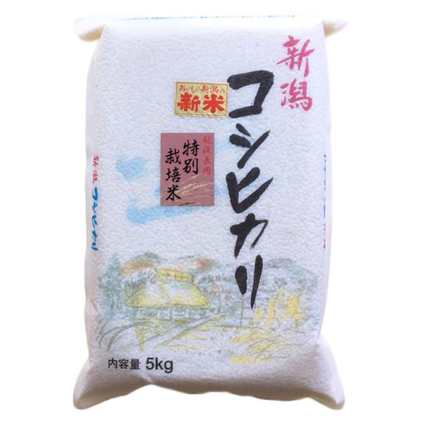 新米 お米 新潟県産 長岡地区限定 特別栽培米 コシヒカリ 白米 5kg 令和7年産 【本州送料無料...