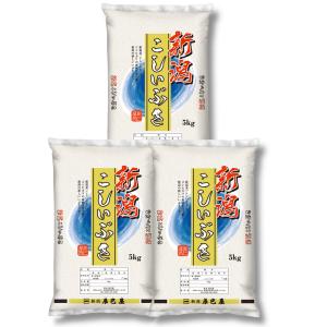 こしいぶき お米 新潟県産 白米 10kg (5kg×2個) 令和7年産【本州送料