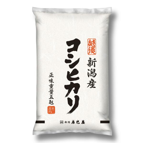 お米 新潟県産 コシヒカリ 白米 5kg 令和5年産 【本州送料無料】