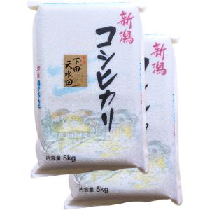 こしいぶき 新米 お米 新潟県産 白米 10kg (5kg×2個) 令和7年産