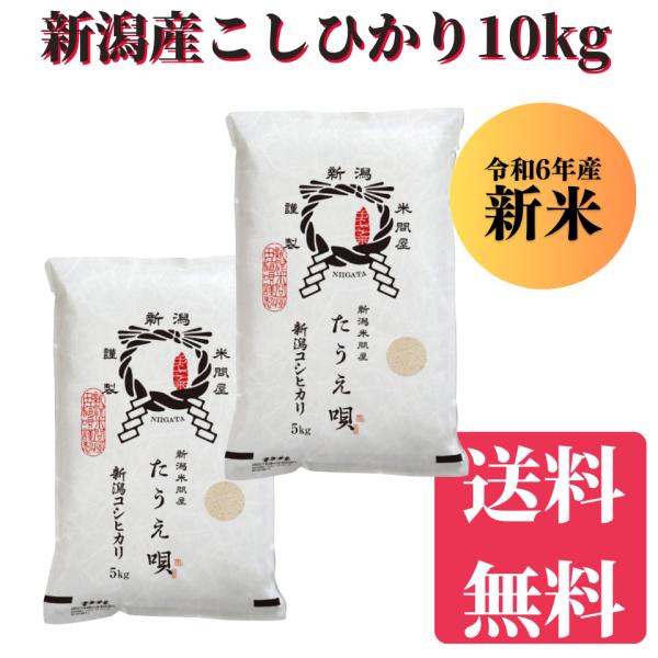 新米　令和7年　こしひかり　お米　10kg　送料無料　新潟産こしひかり　10kg（5kg×2）　米　...