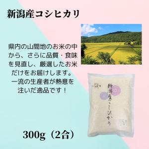 お試し米 新潟三大名産地米 食べ比べセット【新...の詳細画像1