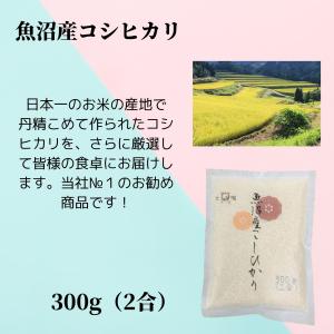 お試し米 新潟三大名産地米 食べ比べセット【新...の詳細画像2