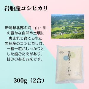 お試し米 新潟三大名産地米 食べ比べセット【新...の詳細画像3