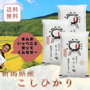 コシヒカリ 米 令和7年 こしひかり 新潟産コシヒカリ 5kg 送料無料 米