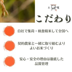 令和5年産 米 送料無料 新潟県産 虹の煌めき...の詳細画像5