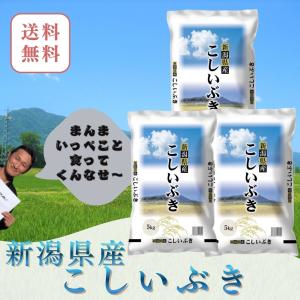 【精米直後を発送】令和7年産 虹の煌めき 24kg 大粒でツヤツヤ！ 匿名配送 爆買 米 にじのきらめき 精米 5kg 令和7年度産 宮城県産 : 宮城県