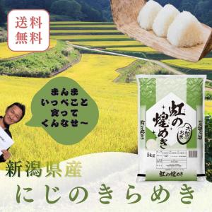 令和7年産 埼玉県産 彩のきずな 5kg (1袋) 神明 日本の米卸No.1の徹底