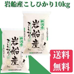コシヒカリ 10kg 新潟産 白米 お米 令和7年産 5kg×2 送料無料(一部